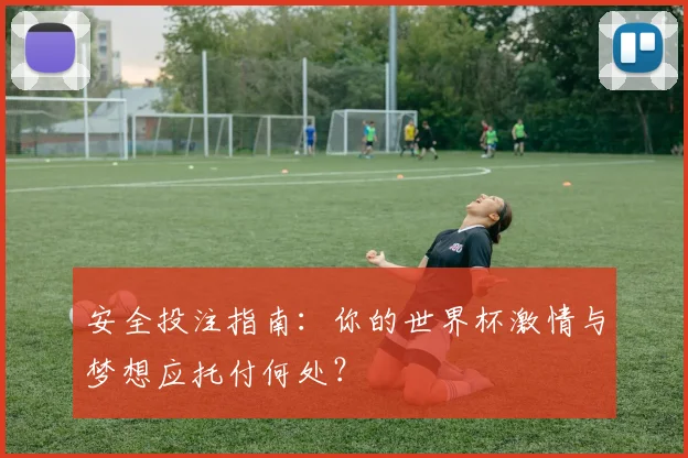 安全投注指南：你的世界杯激情与梦想应托付何处？