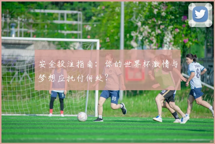 安全投注指南：你的世界杯激情与梦想应托付何处？