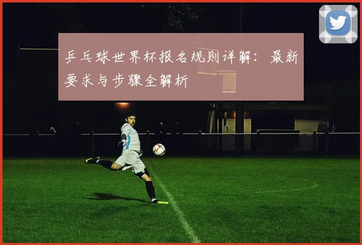 乒乓球世界杯报名规则详解：最新要求与步骤全解析