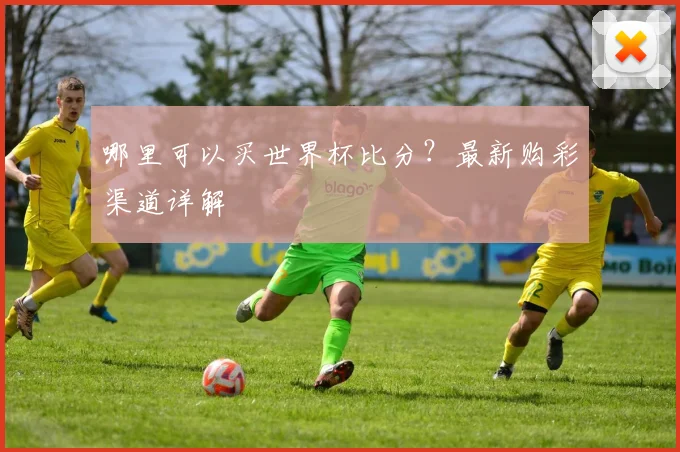 哪里可以买世界杯比分?最新购彩渠道详解