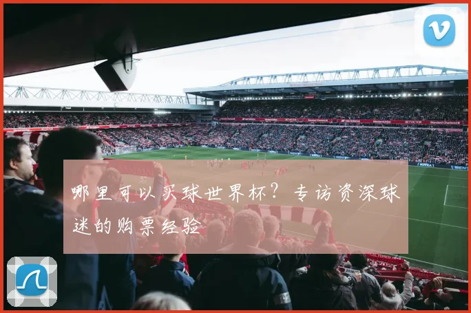 哪里可以买球世界杯?专访资深球迷的购票经验