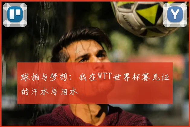 球拍与梦想：我在WTT世界杯赛见证的汗水与泪水