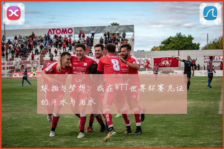 球拍与梦想：我在WTT世界杯赛见证的汗水与泪水