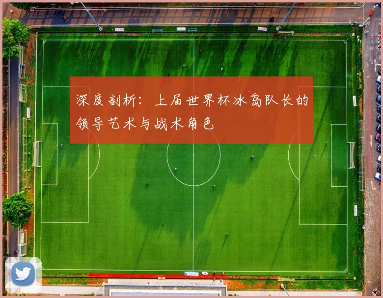 深度剖析:上届世界杯冰岛队长的领导艺术与战术角色