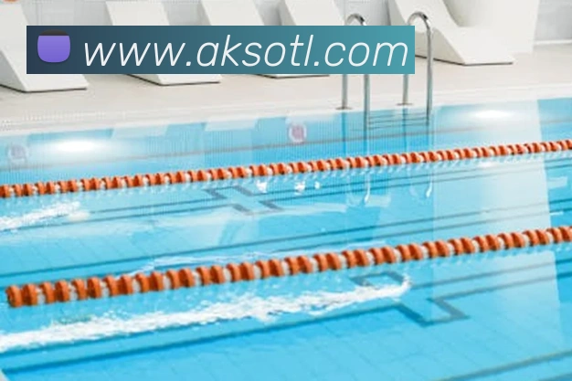 App Interface Preview